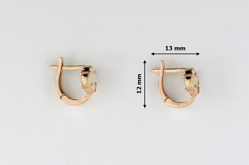 Paveikslėlis Auksiniai auskarai su perlamutru 