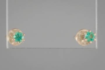 Paveikslėlis Auksiniai auskarai su smaragdais